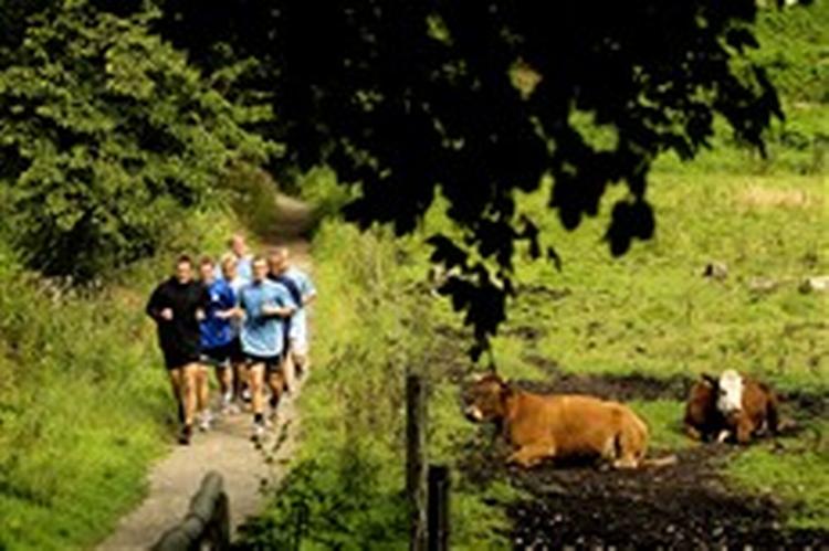 Træning i Dyrehaven. - Foto: Peter Hove Olesen 