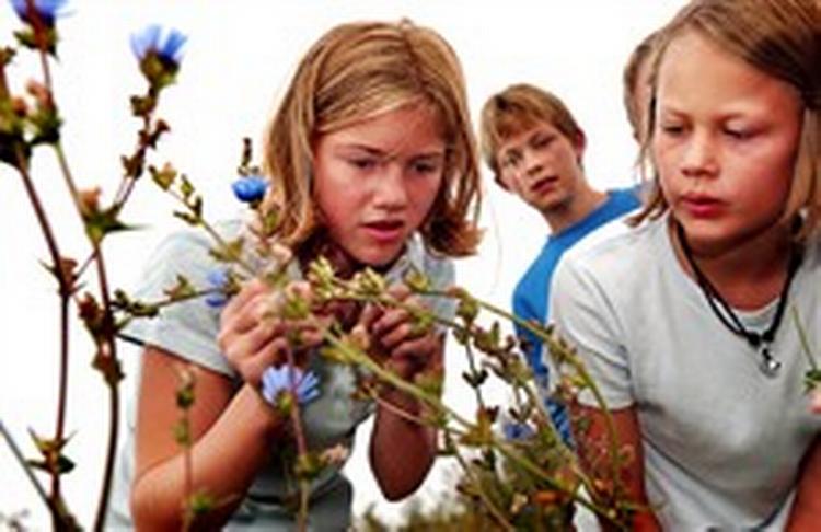 Kryb skal findes og ikke bare synges på Gjessø Skole. Fra venstre Marianne, Marie og Simon.   Foto: Rasmus Baaner 