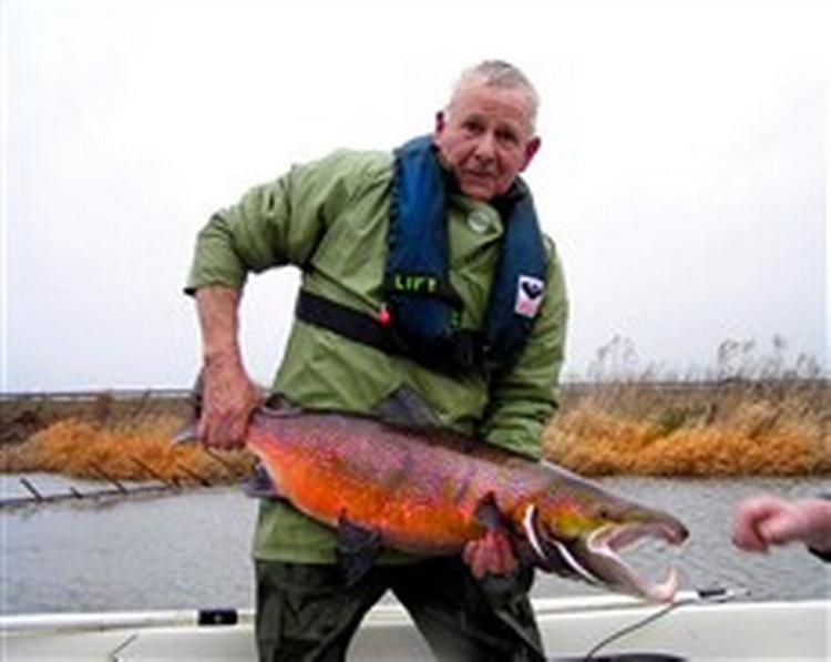 Magne Rosenblad fra Ribe Sportsfiskerforening fremviser et eksemplar af den truede Ribe Å-laks. Laksen kan ende som en sag ved EF-domstolen, hvis Danmark ikke sørger for bedre levevilkår for den.   Foto: Benn Lodbjerg Jensen 