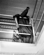 Nattevagterne i Abu Ghraib-fængslet opførte sig som sadister og vilde dyr, konkluderer Schlesinger-rapporten.   Foto: Washington Post/AP 