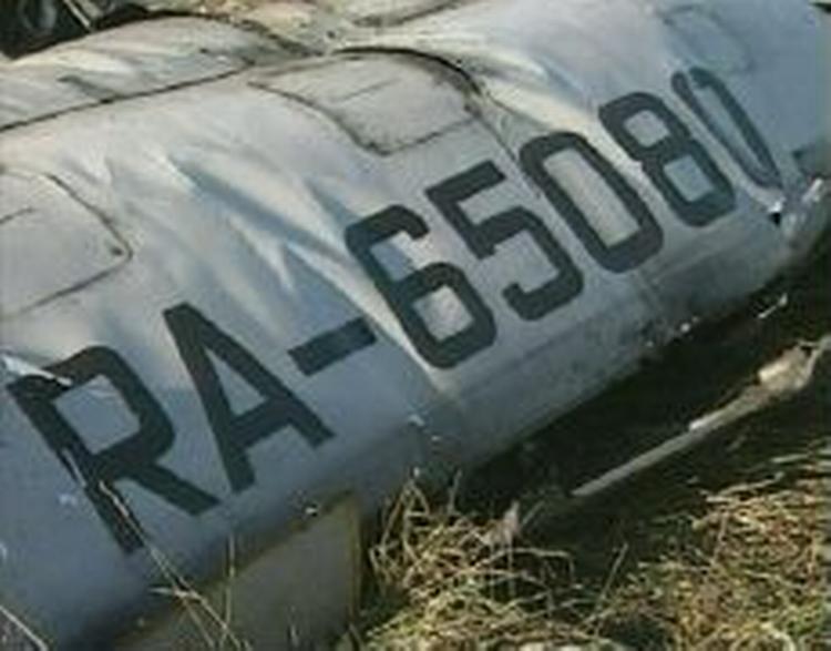 Billede af Tu-134-flyet, der styrtede ned 200 km syd for Moskva. - Foto: AP 