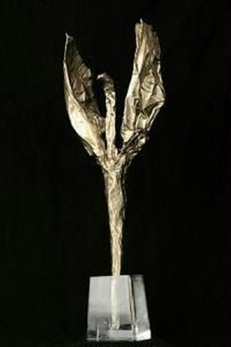 Førstepræmien 'The Golden Swan' går til Rusland i år. - PR-foto. 