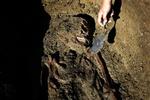 50 centimeter nede i jorden dukkede i går et velbevaret skelet op fra omkring det tredje eller fjerde århundrede. Den unge oldtidsmand havde fine tænder, hvilket kan tyde på god kost. - Foto: Mads Nissen 