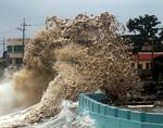 SOUTH KOREA TYPHOON