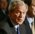 Bush kunne have fået to års fængsel. - Foto: AP 