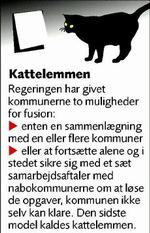 kattelem 