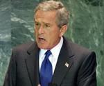 'Vi står ved det afghanske og det irakiske folks side, indtil deres håb om frihed er opfyldt', siger Bush. - Foto: AP 