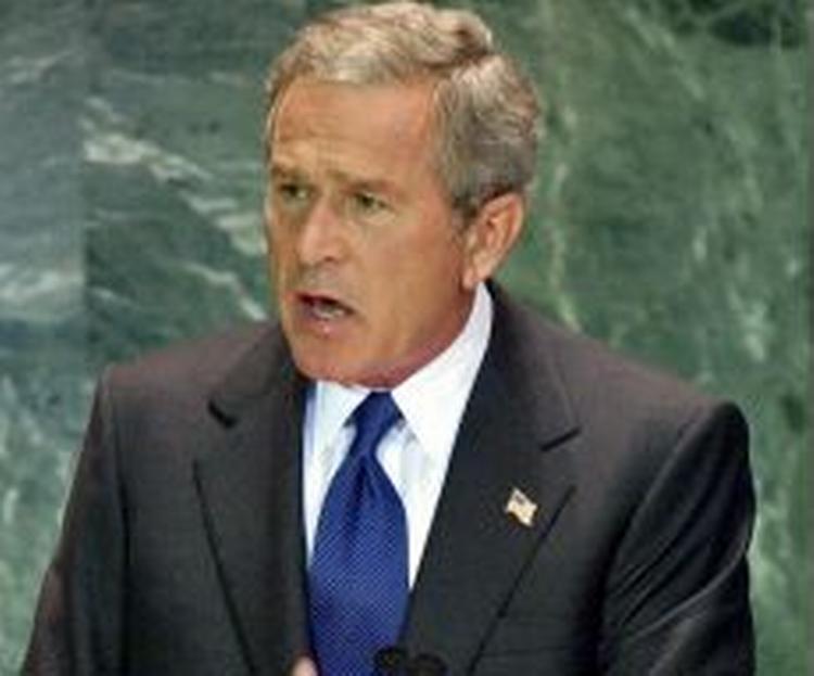 'Vi står ved det afghanske og det irakiske folks side, indtil deres håb om frihed er opfyldt', siger Bush. - Foto: AP 