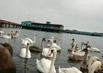Helgoland som den så ud inden nedrivningen i september 2004. - Arkivfoto: Kim Agersten 