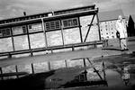 - Foto: Thomas Borberg 