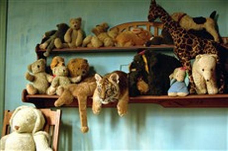 Tigerunden Sangha laver ballade på bamsehylden i Jean-Jaques Annauds film. - Foto: David Koskas 