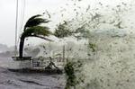 Orkanen Jeanne ramte Florida med vindstød på op til 200 km/t og var dermed en kategori 3 orkan. - Foto: AP 