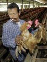 THAILAND BIRD FLU