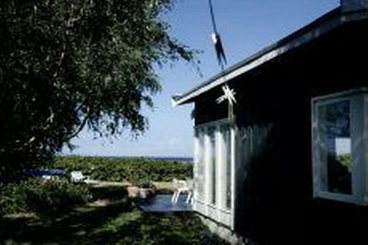 Sommerhusene i Danmark bliver dyrere og dyrere. - Foto: Miriam Dalsgaard 