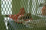 Slimane Hadj Abderrahmane sad fanget på Guantánamo-basen i Cuba i 741 dage, før USA besluttede at løslade ham. - Arkivfoto: AP 