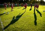 Der var tilskuertrængsel til landsholdets træning på 'den billige langside' i oktobersolskinnet. - Foto: Jens Dresling 