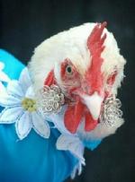 - Foto: Finn Frandsen 