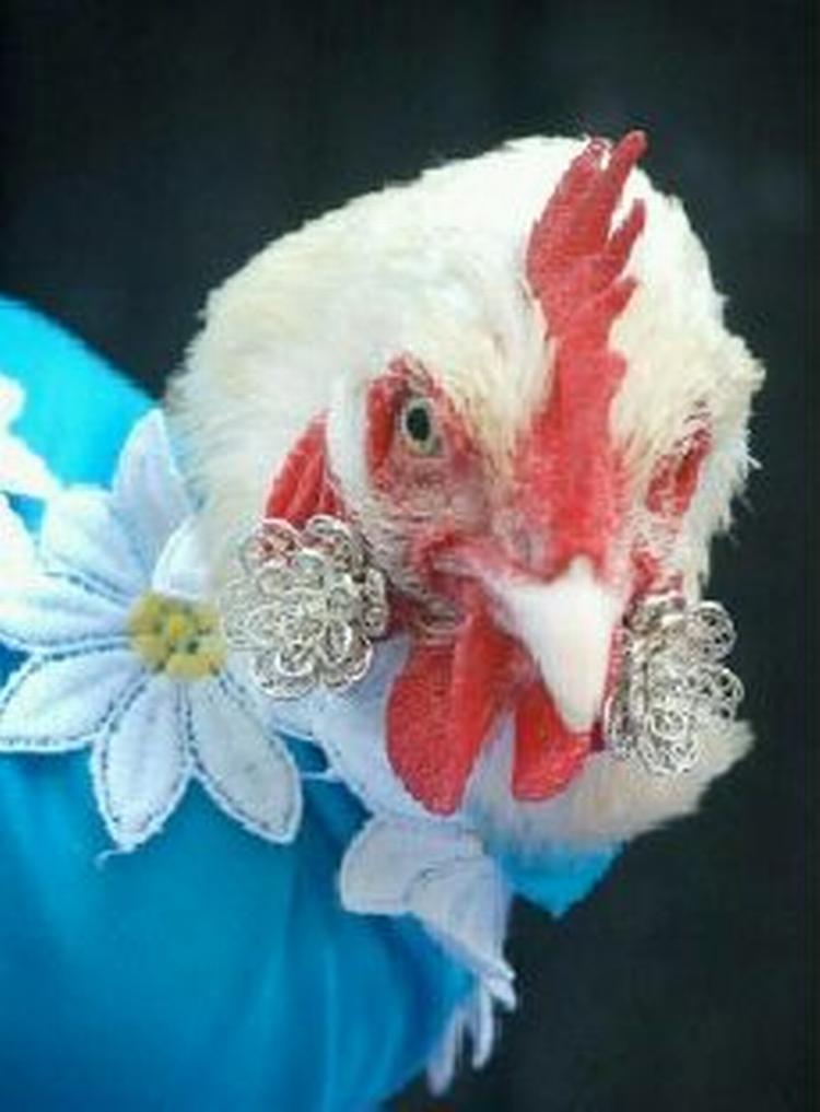 - Foto: Finn Frandsen 