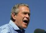 BUSH