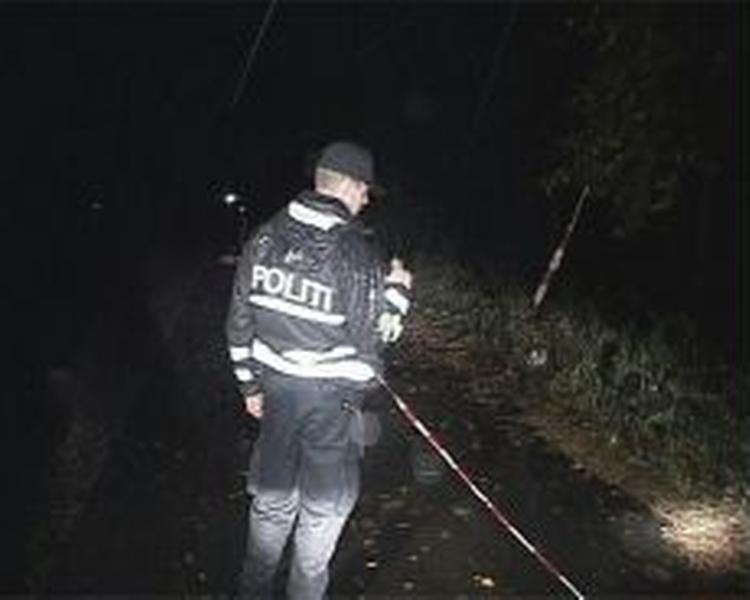 Den dræbte chauffør blev fundet ved Strandskoven to kilometer fra Køge Bymidte af et vidne. - Foto: Localeyes 