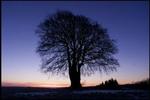 - Arkivfoto: Thomas Borberg 