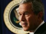 Præsident Bush fotograferet under sit første møde med pressen efter valgsejren over John Kerry. - Foto: AP 