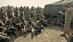 Stilhed før stormløbet. De amerikanske styrker har omringet Fallujah og gør klar til angreb. - Foto: AP 