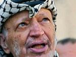 Den 75-årige Arafat døde tidligt i morges i Paris. - Foto: AP 