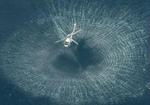En japansk helikopter fra flåden undersøger havoverfladen, efter ubåden blev observeret. - Foto: AP 