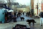 Pusher Street, som den i mange år så ud, med hashboder og masser af hunde. - Arkivfoto: Mads Winther 
