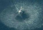 En japansk helikopter undersøger havoverfladen, efter at ubåden blev observeret i sidste uge. - Arkivfoto: AP 
