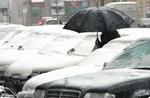 En kvinde i dækning under en paraply i hovedstaden Warszawa. - Foto: AP 