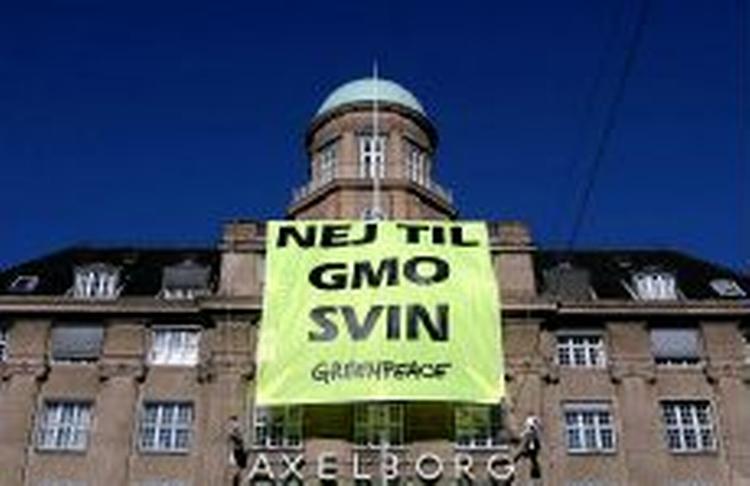 Greenpeace - her i aktion på facaden af landbrugsforeningernes hus i København - har godt tag i danskerne. - Foto: Miriam Dalsgaard 