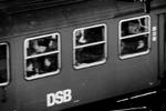 Konkurrencestyrelsen vil nu se nærmere på DSB's aftale med Deuche Bahn. - Foto: Thomas Borberg 