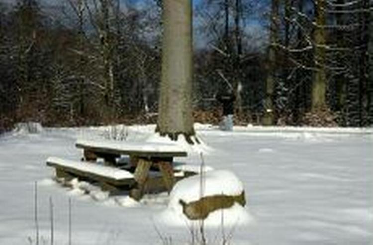 Chancerne er atter små for en hvid jul. - Arkivfoto: Kim Agersten 