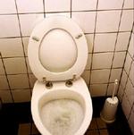 Faktisk er det bedst at lade luftfriskeren blive stående på hylden i supermarkedet. I brug på toilettet er de med til at forpeste luften med skadelige stoffer. - Foto: Jørgen Sperling 