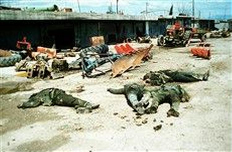 Massakren i Halabja i 1988 kostede mindst 5.000 kurdere livet. - Foto: AP 