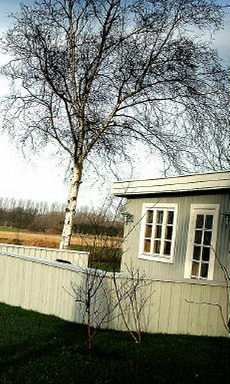 Regeringen havde lagt op til 8.000 sommerhusgrunde i kystnære områder. Under 5.900 har overlevet den første gennemgang. - Foto: Jan Grarup 