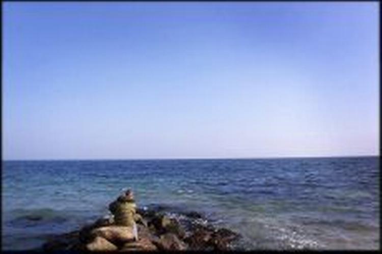 Mildere og mindre vådt har det været i november. - Foto: Claus Bonnerup 