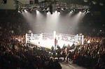 Det ultimative danske boksebrag mellem WBA-verdensmesteren Mikkel Kessler og hans klubkammerat og træningsmakker Mads Larsen kan blive en realitet. - Polfoto 
