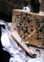 ROCQUEFORT. En lokal bonde beskyttede sin egns specialitet ved at jævne en McDonald s med jorden. Han fik tre måneders fængsel.   Foto fra bogen: Knut Bry 