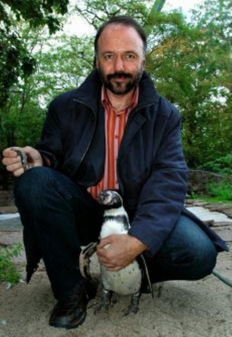 MANDEN OG PINGVINEN. Andrej Kurkovs anmelderroste roman  Døden og en pingvin  handler om forfatteren Viktor, der lever sammen med den depressive pingvin Misha. I bogens anledning poserer Kurkow her med et eksemplar af racen.   Foto: Ralf Lehmann 