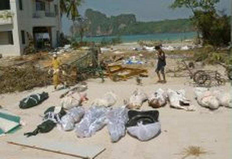 Fire danske eksperter skal være med til at identificere lig som disse i Thailand. - Foto: AP 