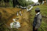 I Sri Lanka har man travlt med at begrave de døde for at undgå smittespredning. - Foto: AP 