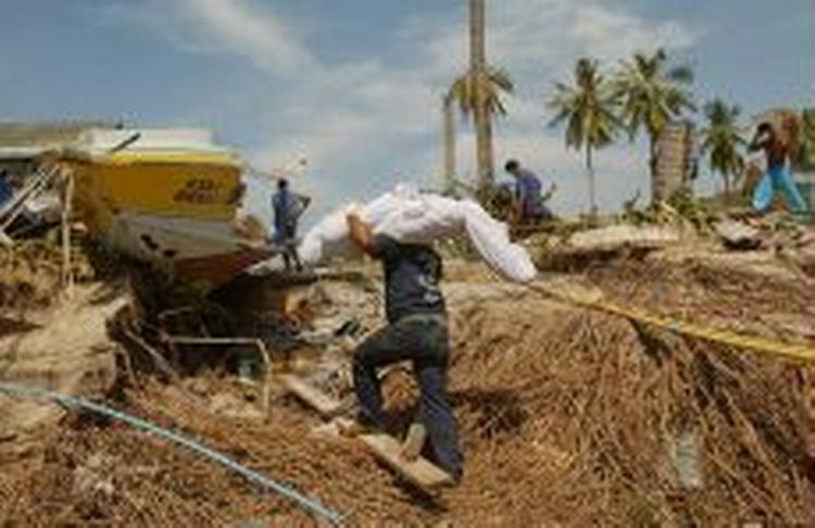 En redningsarbejder bærer et lig bort fra stranden på Koh Phi Phi tæt ved Phuket i Thailand. - Foto: AP 