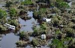 Sådan ser der ud i dele af Yala National Park, hvor mange Srilankanere omkom, mens alle dyrene var søgt mod højtbeliggende steder. - Foto: AP 