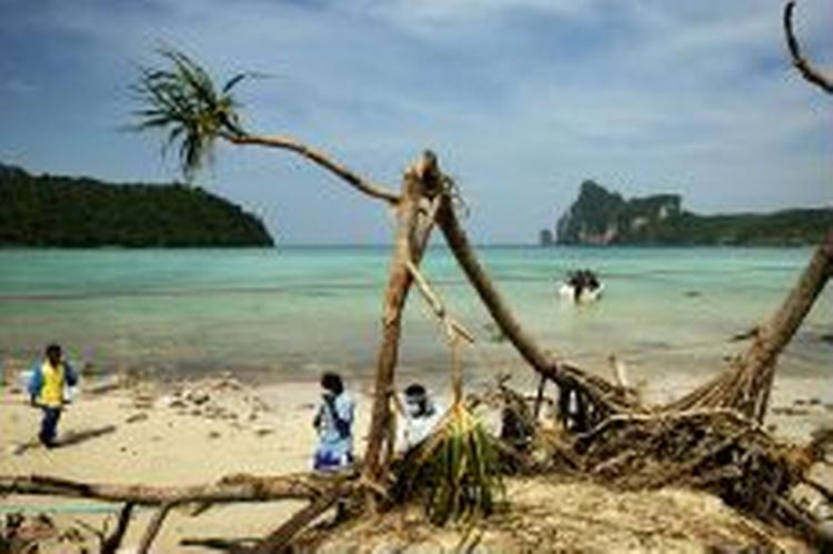 Phi-Phi er kendt i vide kredse som et pragtfuldt turiststed. Nu er området som støvsuget for liv. - Foto: Martin Lehmann 