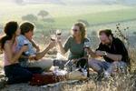 PINOT. To fyre drikker Pinot med to kvinder, som de har samlet op på deres midtvejskrise-køretur gennem Californiens vinmarker. Skuespillerne er Paul Giamatti, Thomas Harden Church, Virginia Madsen og Sandra Oh.   Foto: 20th Century Fox 