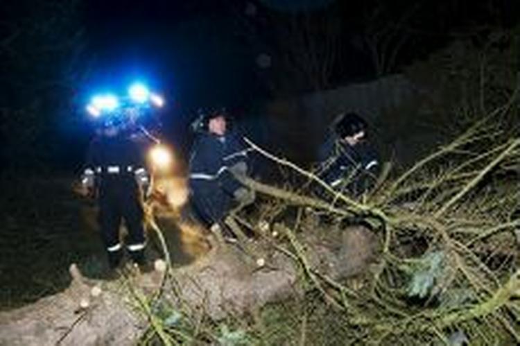 Væltede træer og el-ledninger hører til de store opgaver efter stormens hærgen. - Foto: Thomas Borberg 