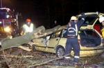 Et træ er faldet ned over en bil ved Malmøs lufthavn Sturup. - Foto: AP 